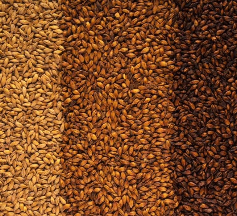 Various malts hero mobile