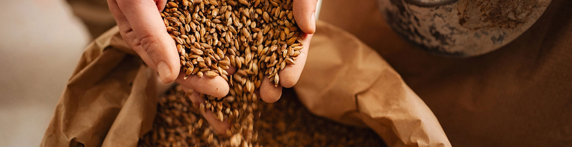 Holding grain in hands