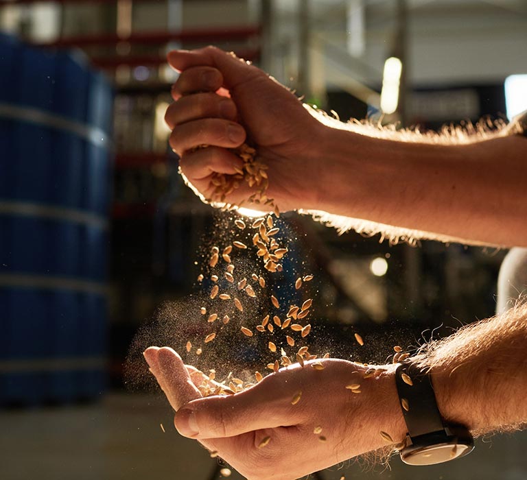 Sifting grain through hands with sunny backlight mobile