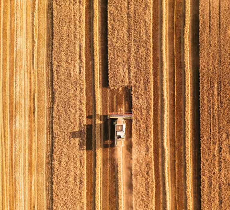 Top down combine harvesting grain mobile