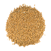 Frosted wheat 180x180